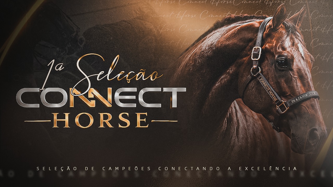 1ª Seleção Connect Horse